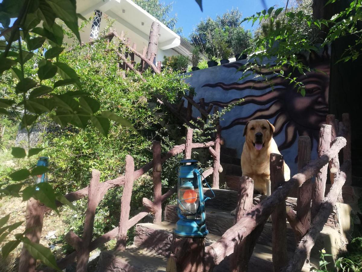 Lavendra Paradise Procida Dış mekan fotoğraf