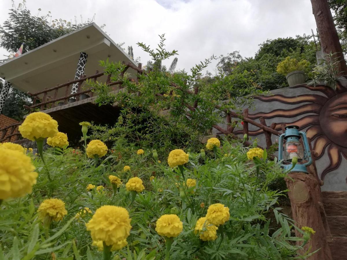 Lavendra Paradise Procida Dış mekan fotoğraf